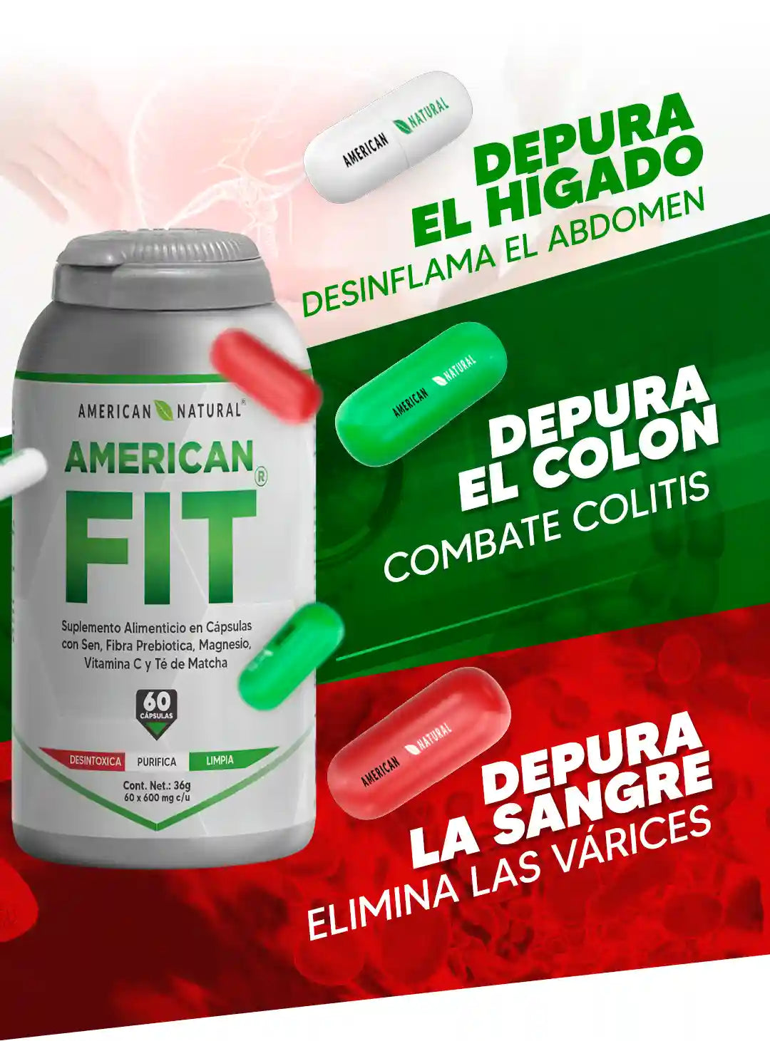 Encabezado