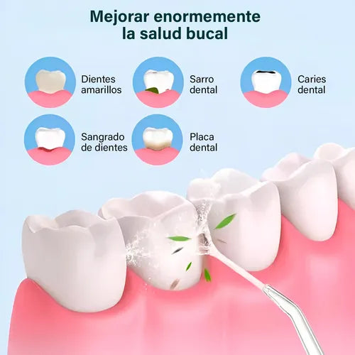 Encabezado