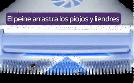 Encabezado