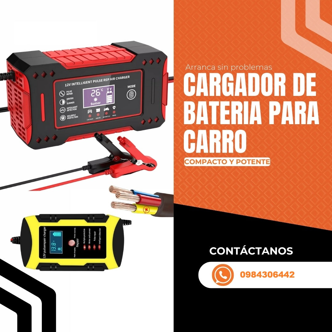 CARGADOR DE BATERIA PARA CARRO
