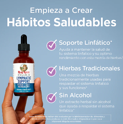 Encabezado