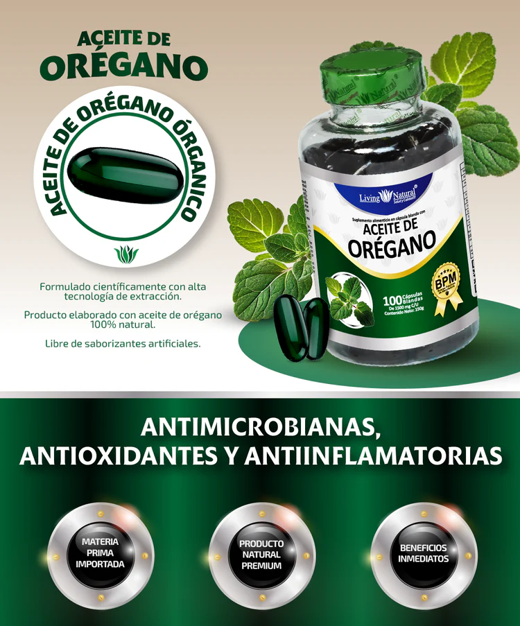 Encabezado